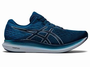 Asics EVORIDE 2 Men's Running Shoes Blue / Grey | EMN726385