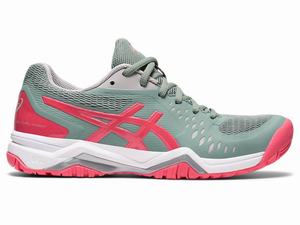 Asics GEL-CHALLENGER 12 Women's Tennis Shoes Pink / Grey | SEQ196487