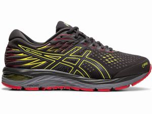 Asics GEL-CUMULUS 21 G-TX Men's Running Shoes Grey | ONH427853