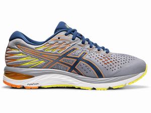 Asics GEL-CUMULUS 21 SP Men's Running Shoes Blue | RDW601723