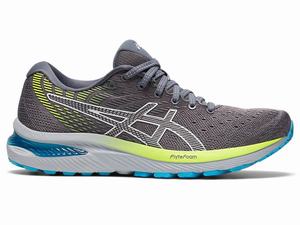 Asics GEL-CUMULUS 22 Women's Running Shoes Silver | VDO643275