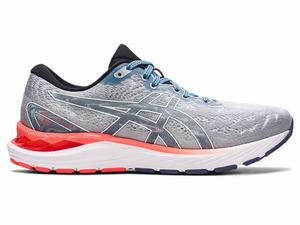 Asics GEL-CUMULUS 23 Men's Running Shoes White / Grey | QSM412875