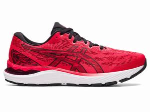 Asics GEL-CUMULUS 23 Men's Running Shoes Black / Red | ZHE176942