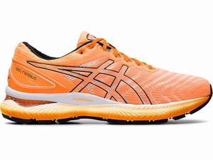 Asics GEL-NIMBUS 22 MODERN TOKYO Men's Running Shoes Orange / Black | GUR947162