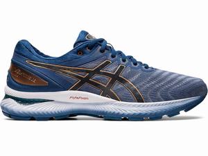 Asics GEL-NIMBUS 22 Men's Running Shoes Grey | EKD236851