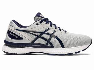 Asics GEL-NIMBUS 22 Men's Running Shoes Grey / Navy | FOY634059