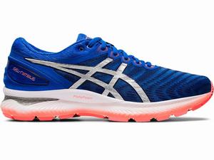 Asics GEL-NIMBUS 22 Men's Running Shoes Blue / Silver | GWZ563248