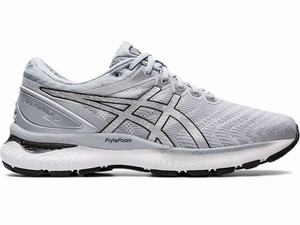 Asics GEL-NIMBUS 22 Men's Running Shoes White / Silver | WXF932014