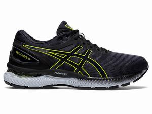 Asics GEL-NIMBUS 22 Men's Running Shoes Grey | YTU164085