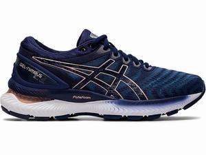 Asics GEL-NIMBUS 22 Women's Running Shoes Grey / Navy | AGM653491