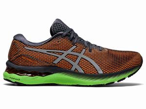 Asics GEL-NIMBUS 23 LITE-SHOW Men's Running Shoes Grey / Silver | BJQ850491