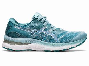 Asics GEL-NIMBUS 23 Women's Running Shoes Blue / Silver | HMR613429