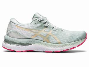 Asics GEL-NIMBUS 23 Women's Running Shoes Light Green | NUB214370