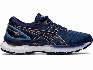 Asics GEL-Nimbus 22 (D) Women's Running Shoes Grey / Navy | NUJ523491