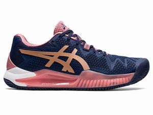 Asics GEL-RESOLUTION 8 CLAY Women's Tennis Shoes Rose / Navy / Gold | FJW930167