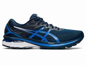 Asics GT-2000 9 Men's Running Shoes Blue | OUD628719