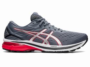 Asics GT-2000 9 Men's Running Shoes Silver | TMO912754