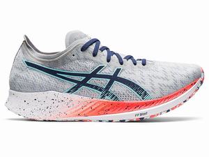 Asics MAGIC SPEED Men's Running Shoes Grey / Blue | KOA374028