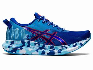 Asics NOOSA TRI 13 BOSTON Women's Running Shoes Red / Blue | XMO521734