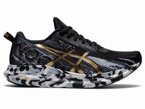 Asics NOOSA TRI 13 Women's Running Shoes Black / Gold | DSL975063