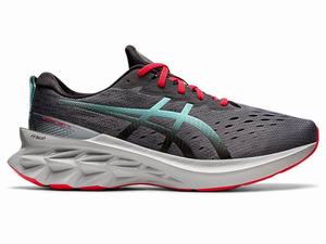 Asics NOVABLAST 2 Men's Running Shoes Blue | THW974183