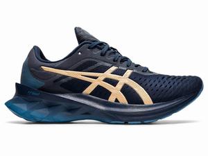 Asics NOVABLAST Women's Running Shoes Blue | HCI912374