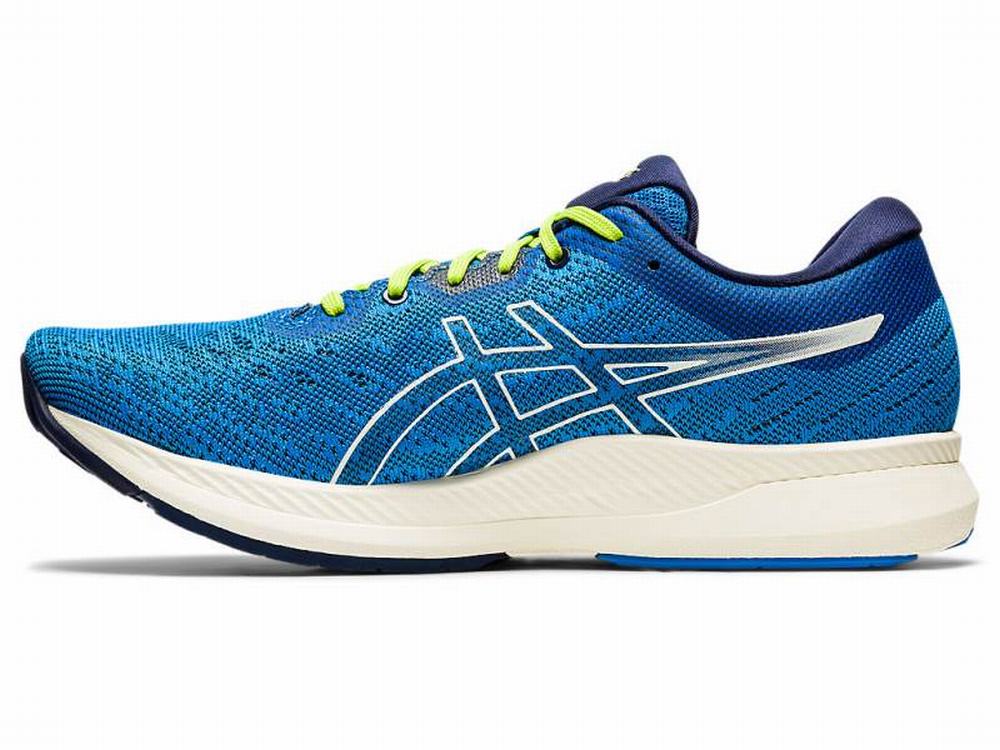 Asics EvoRide Men's Running Shoes Blue / White | OPK508143