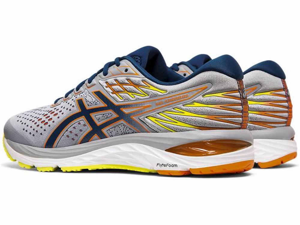 Asics GEL-CUMULUS 21 SP Men's Running Shoes Blue | RDW601723