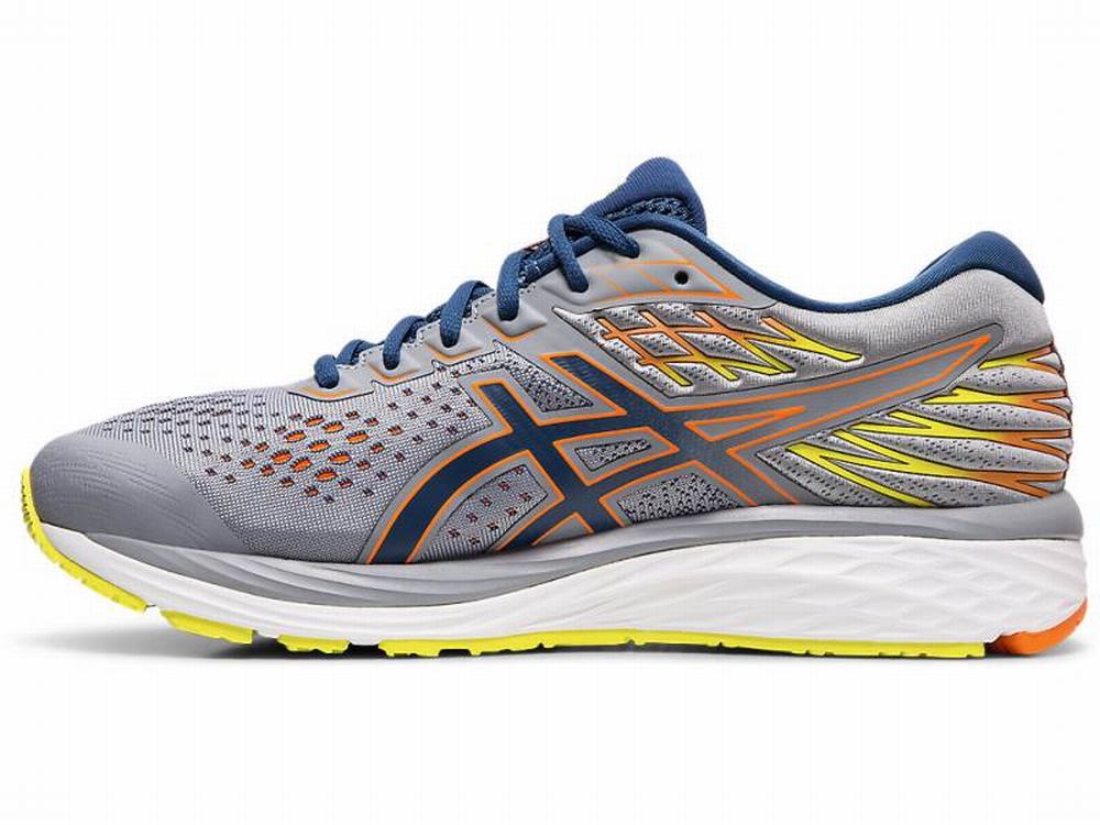 Asics GEL-CUMULUS 21 SP Men's Running Shoes Blue | RDW601723