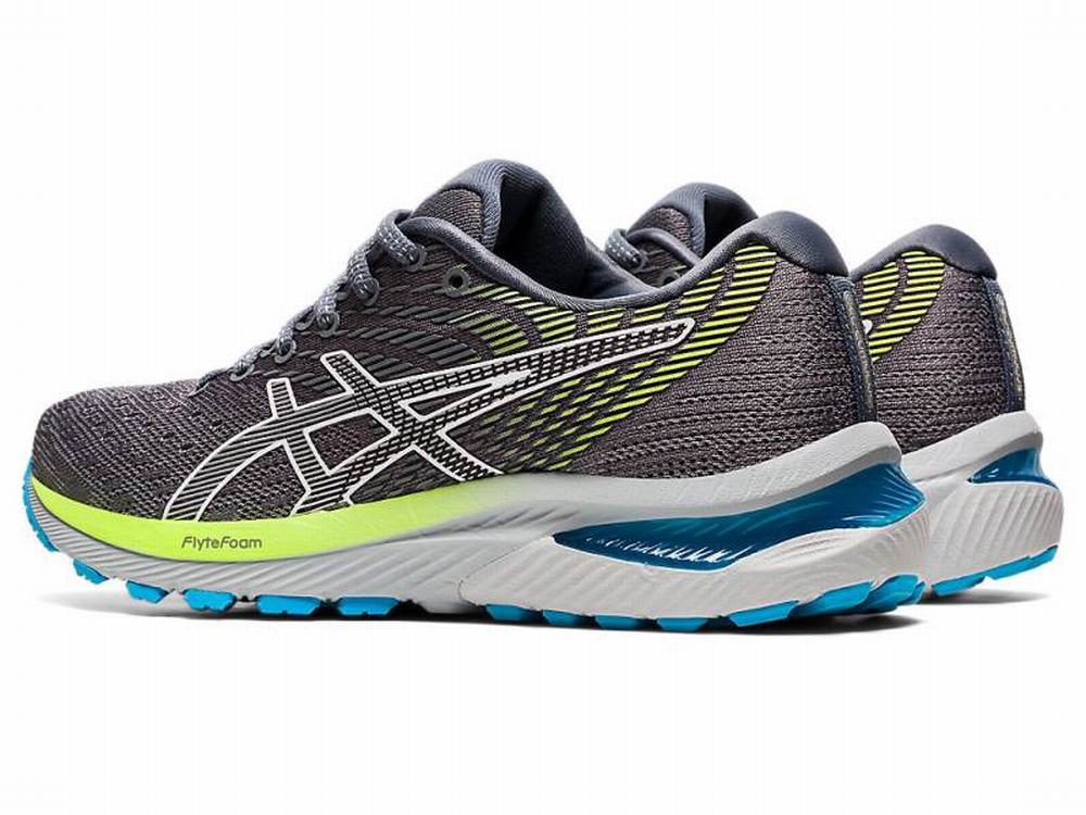 Asics GEL-CUMULUS 22 Women's Running Shoes Silver | VDO643275