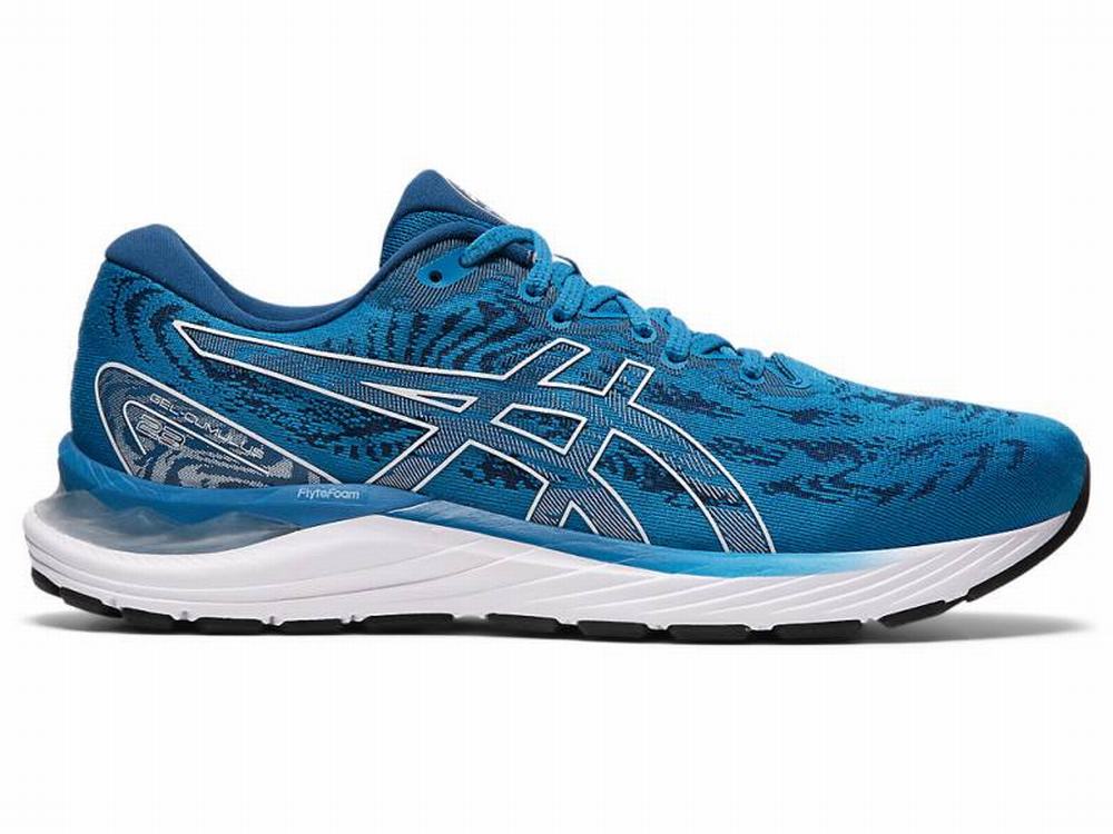 Asics GEL-CUMULUS 23 Men's Running Shoes White / Blue | NFA213096