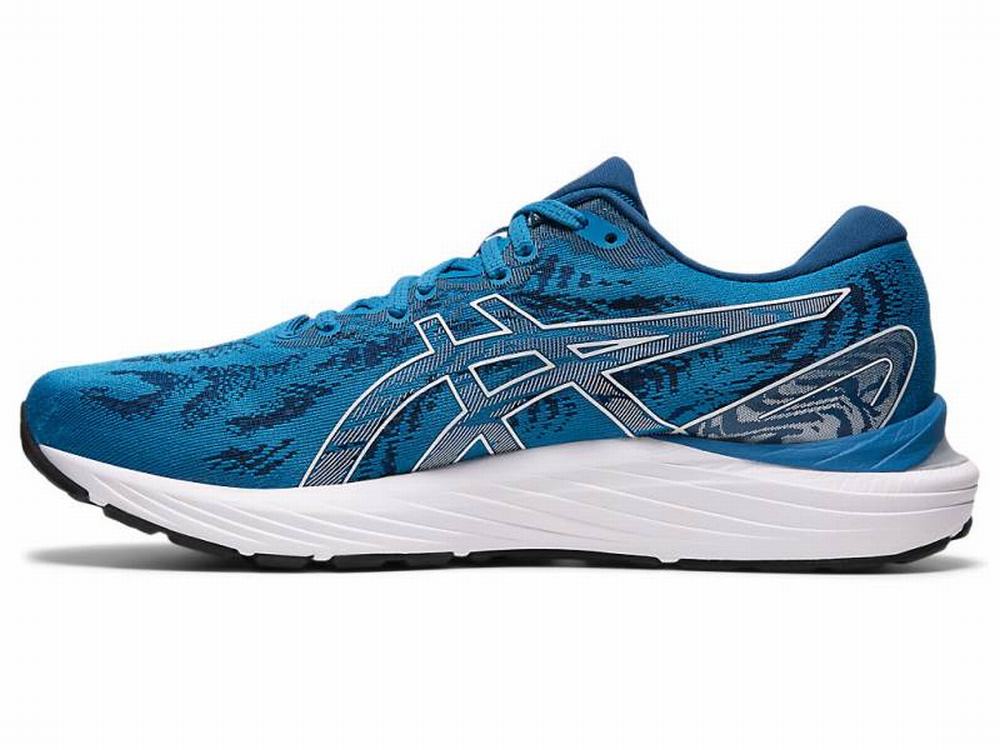 Asics GEL-CUMULUS 23 Men's Running Shoes White / Blue | NFA213096