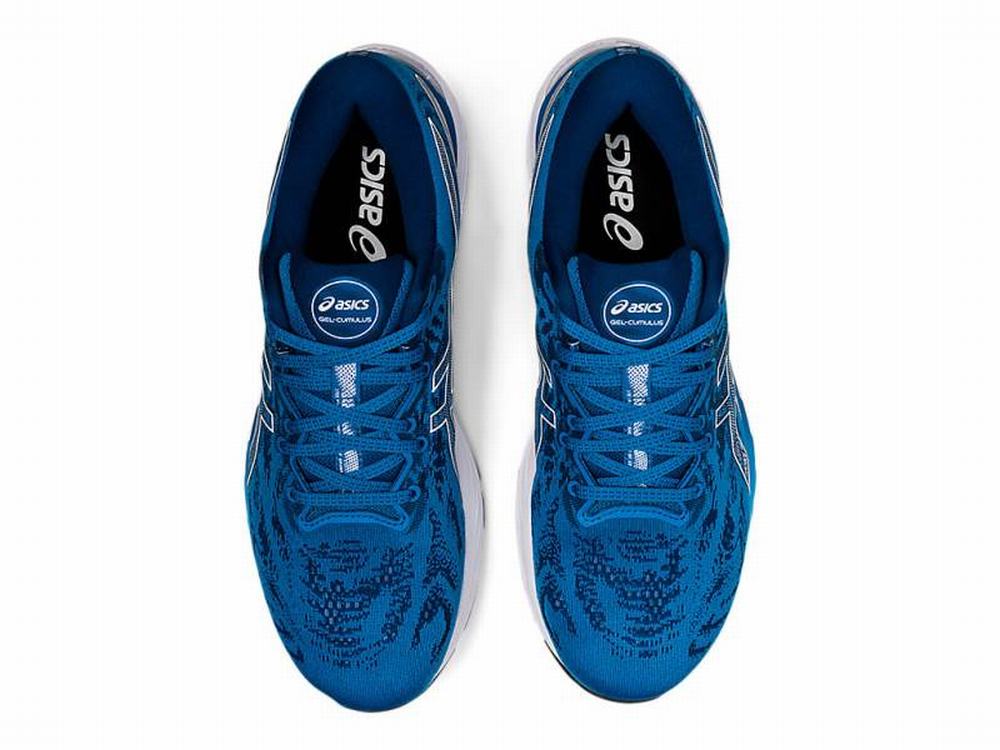 Asics GEL-CUMULUS 23 Men's Running Shoes White / Blue | NFA213096