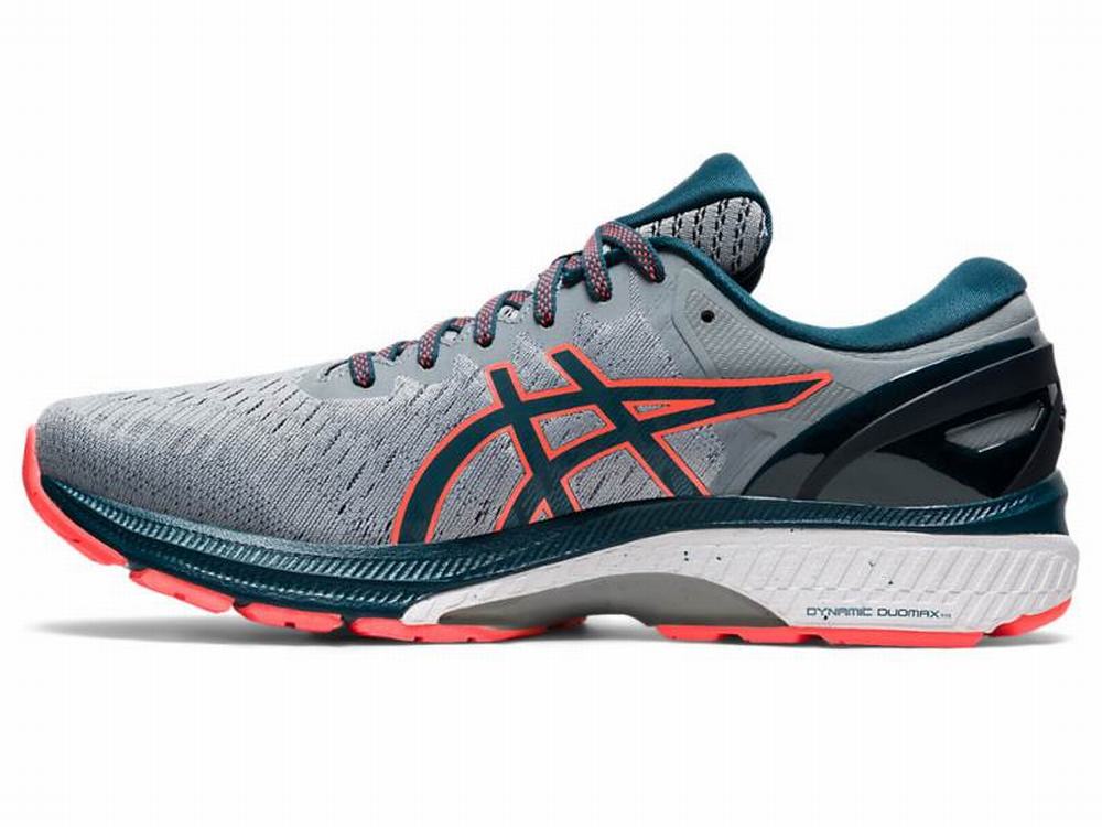 Asics GEL-KAYANO 27 (2E) Men's Running Shoes Grey | BQU840523