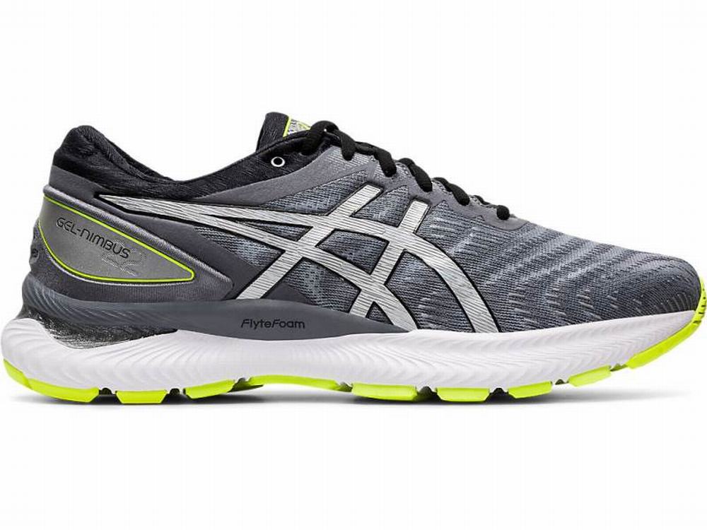 Asics GEL-NIMBUS 22 LITE-SHOW Men's Running Shoes Silver | ZTW705284