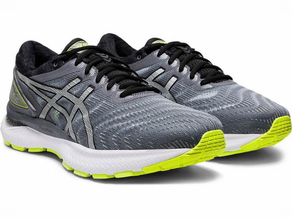 Asics GEL-NIMBUS 22 LITE-SHOW Men's Running Shoes Silver | ZTW705284