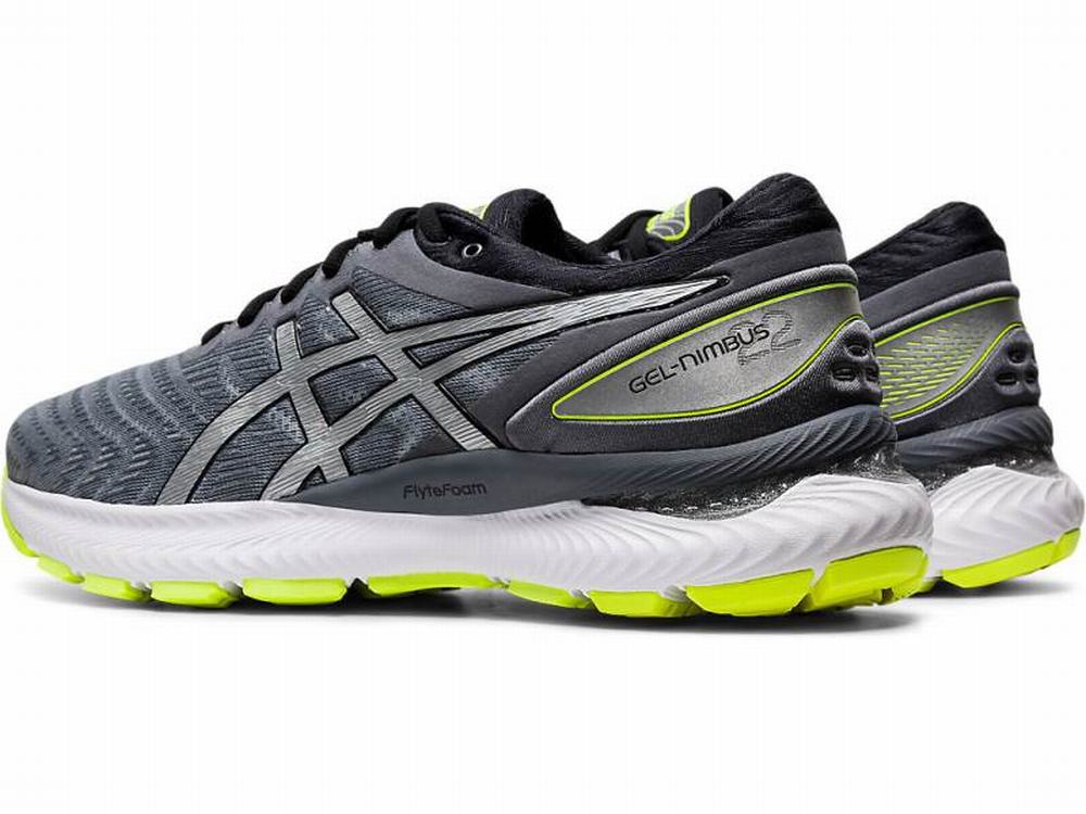 Asics GEL-NIMBUS 22 LITE-SHOW Men's Running Shoes Silver | ZTW705284