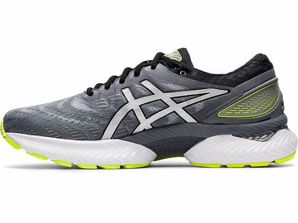 Asics GEL-NIMBUS 22 LITE-SHOW Men's Running Shoes Silver | ZTW705284