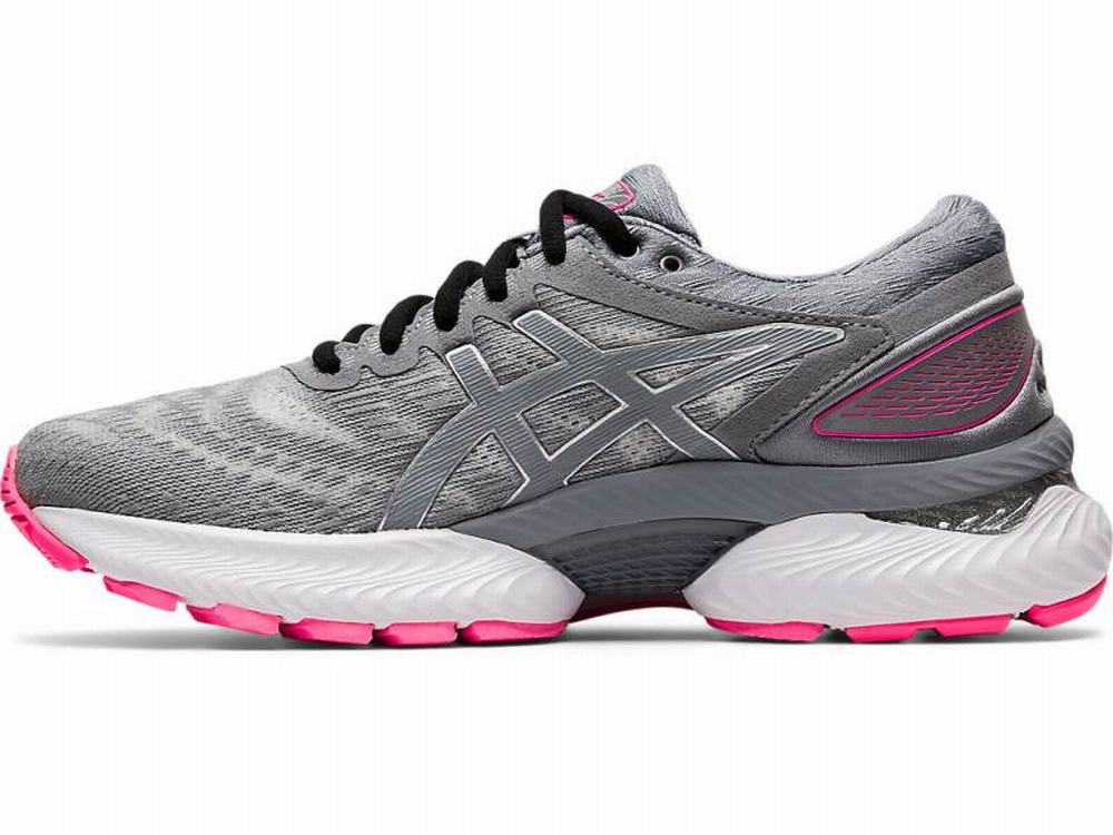 Asics GEL-NIMBUS 22 LITE-SHOW Women's Running Shoes Grey | QXZ503872