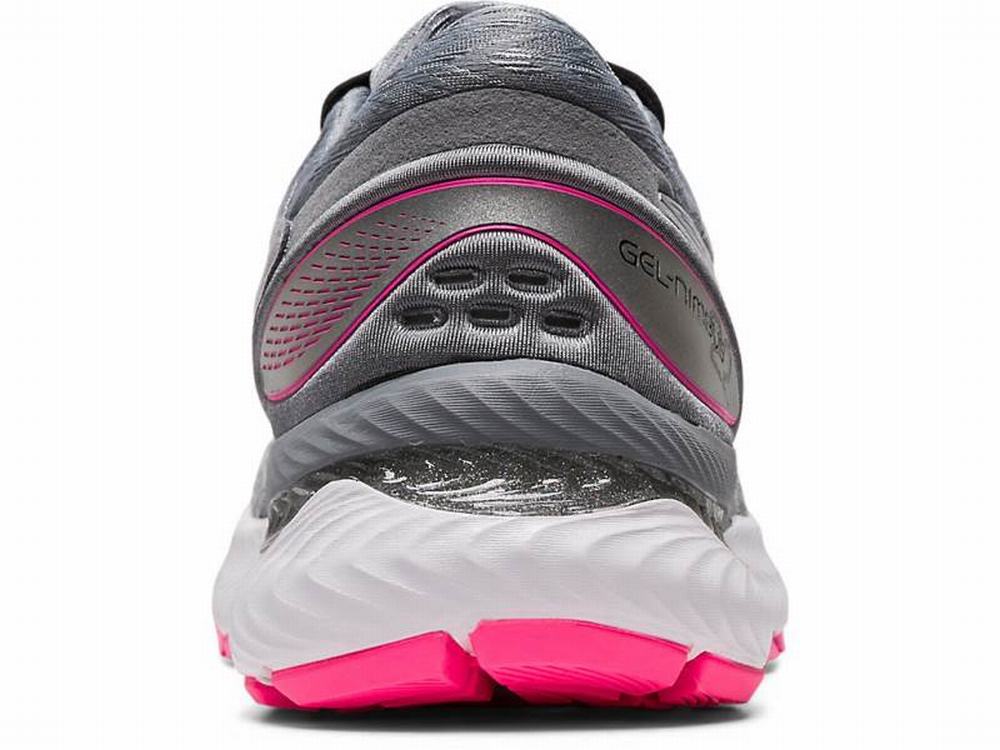 Asics GEL-NIMBUS 22 LITE-SHOW Women's Running Shoes Grey | QXZ503872