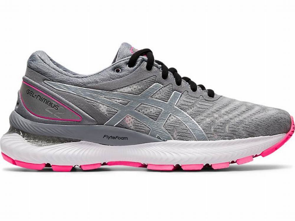 Asics GEL-NIMBUS 22 LITE-SHOW Women\'s Running Shoes Grey | QXZ503872