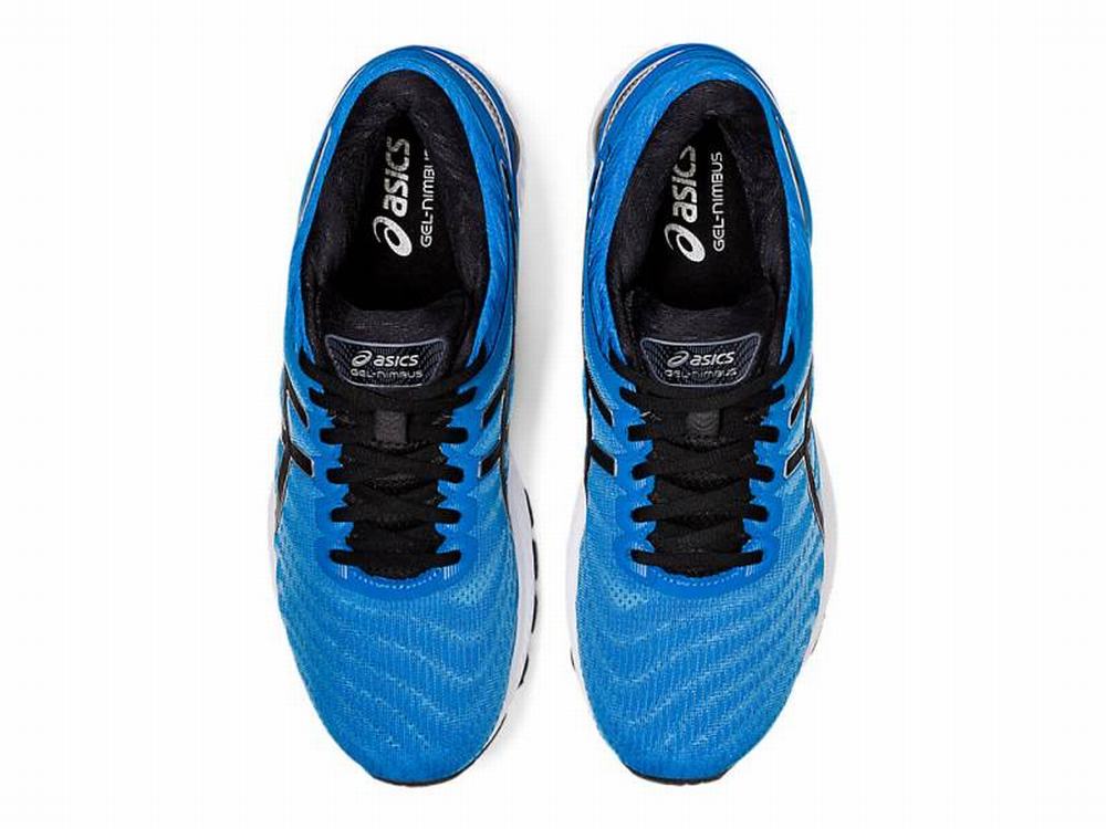 Asics GEL-NIMBUS 22 Men's Running Shoes Black / Blue | FDO482075