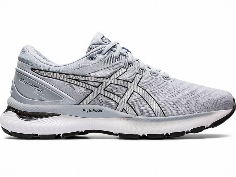 Asics GEL-NIMBUS 22 Men's Running Shoes White / Silver | WXF932014