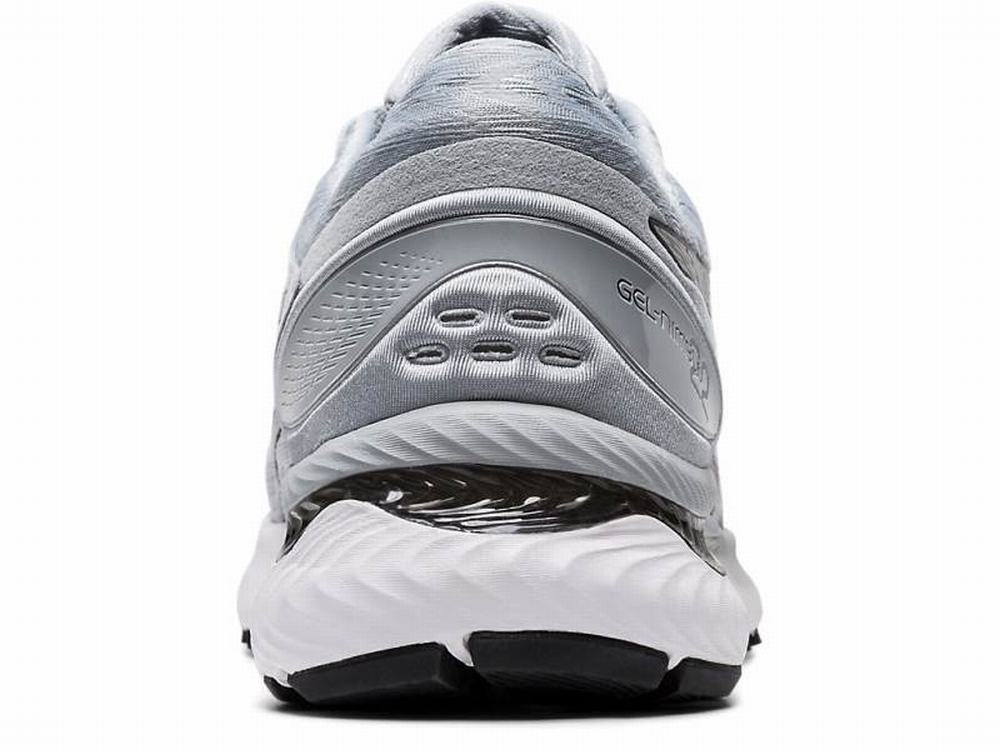 Asics GEL-NIMBUS 22 Men's Running Shoes White / Silver | WXF932014