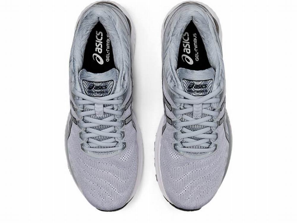 Asics GEL-NIMBUS 22 Men's Running Shoes White / Silver | WXF932014