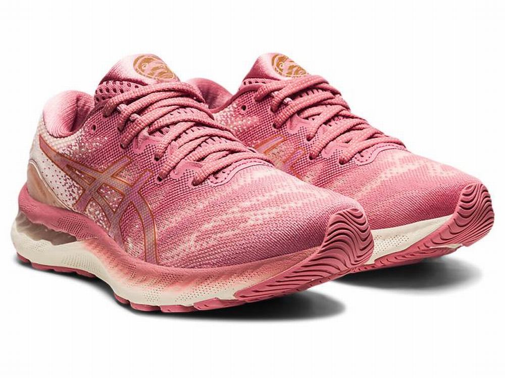 Asics GEL-NIMBUS 23 Women's Running Shoes Rose | KAQ346105