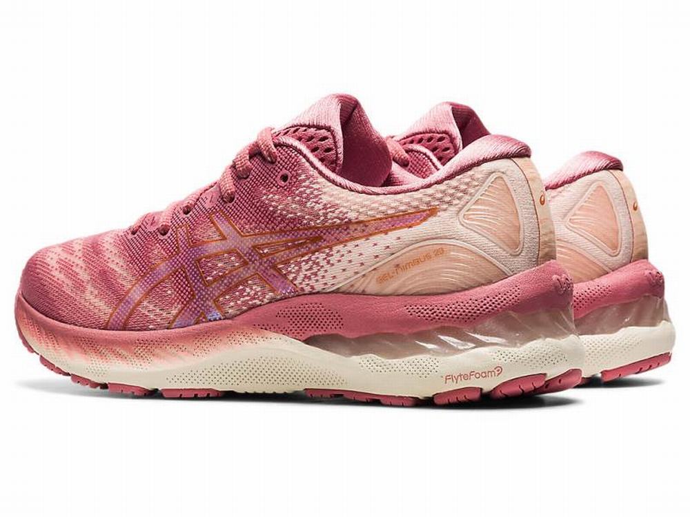 Asics GEL-NIMBUS 23 Women's Running Shoes Rose | KAQ346105