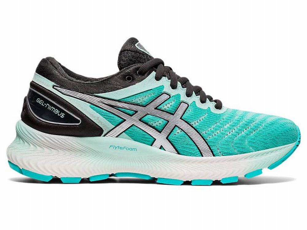 Asics GEL-NIMBUS LITE Women's Running Shoes Silver | PVI458290