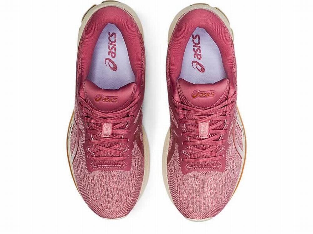 Asics GT-1000 10 Women's Running Shoes Pink / Rose | DTM461728