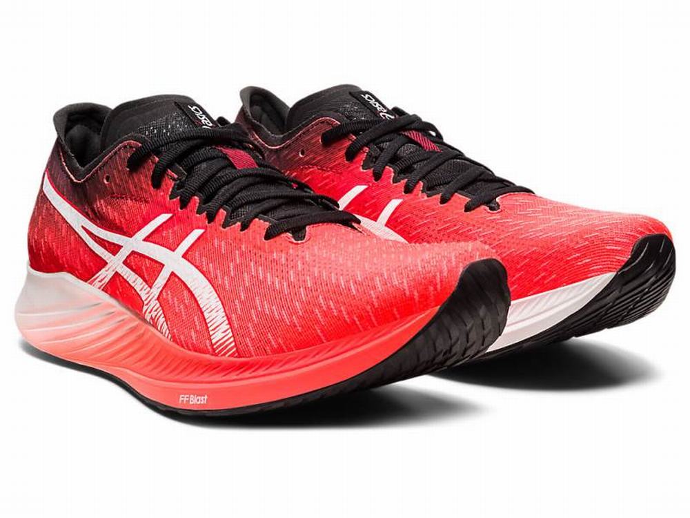 Asics MAGIC SPEED Men's Running Shoes Orange / Red / White | HLA279061